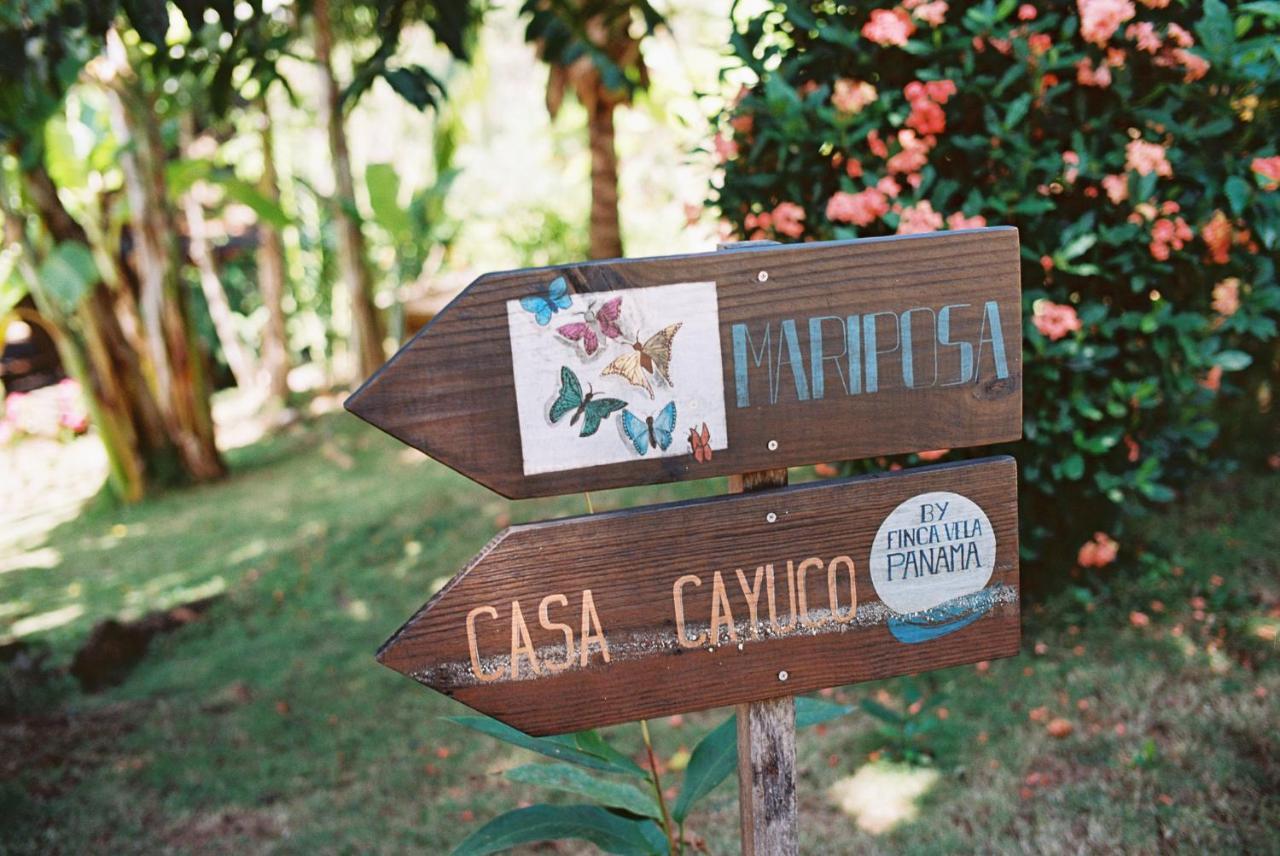 Finca Vela Lodge Bocas del Toro Exterior photo