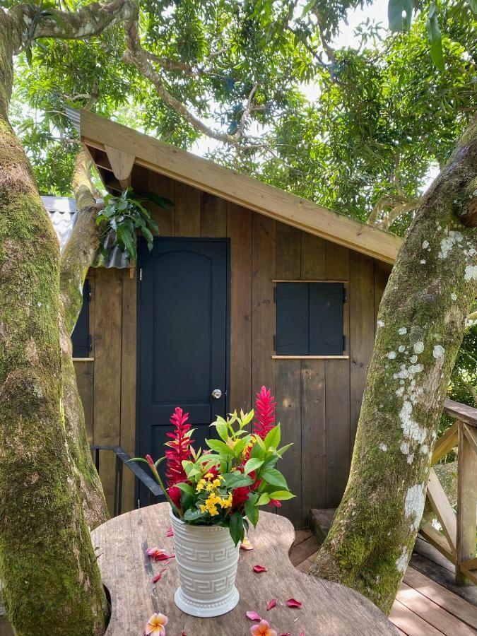 Finca Vela Lodge Bocas del Toro Exterior photo