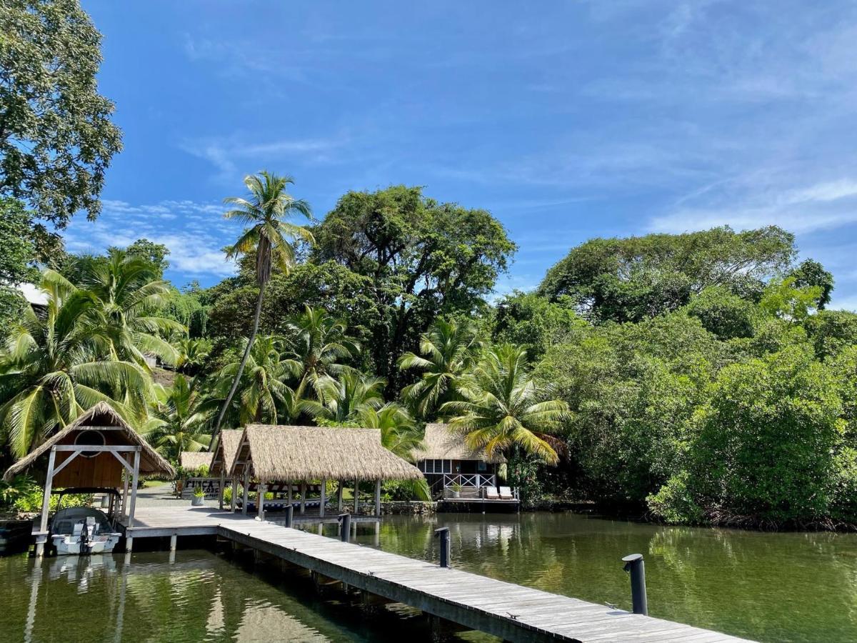 Finca Vela Lodge Bocas del Toro Exterior photo